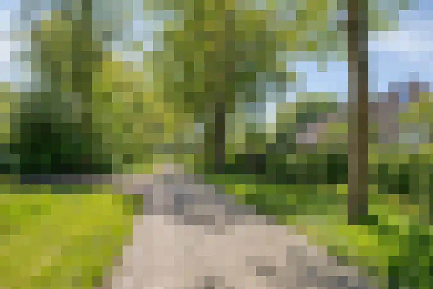 Schieland 24 Assen thumbnail 47