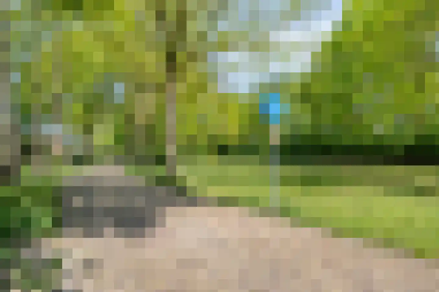 Schieland 24 Assen thumbnail 48