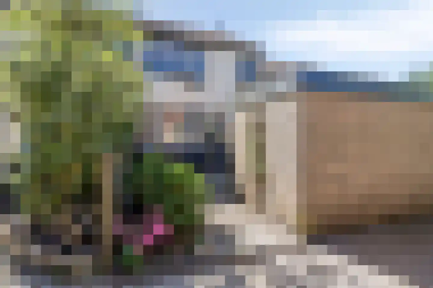 Schieland 24 Assen thumbnail 5