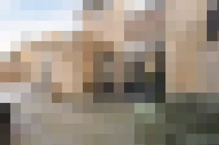 Schieland 26 Emmeloord thumbnail 25