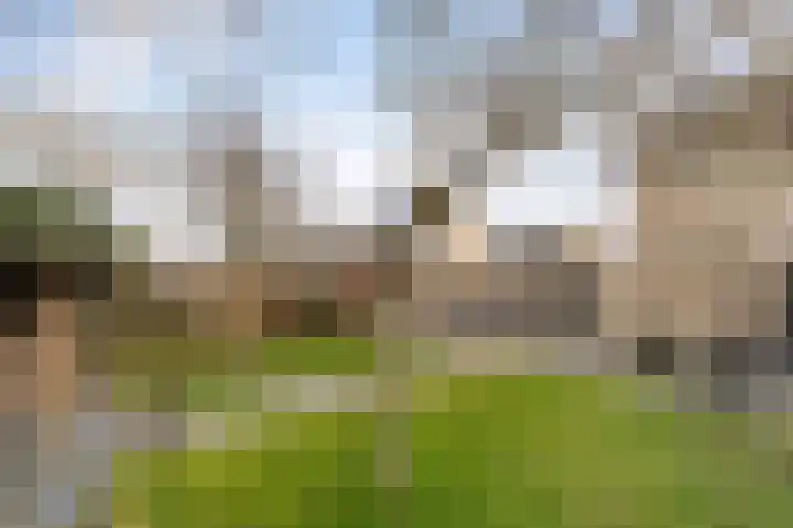 Schieland 26 Emmeloord thumbnail 32