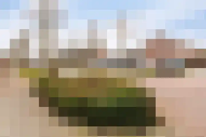 Schieland 26 Emmeloord thumbnail 8