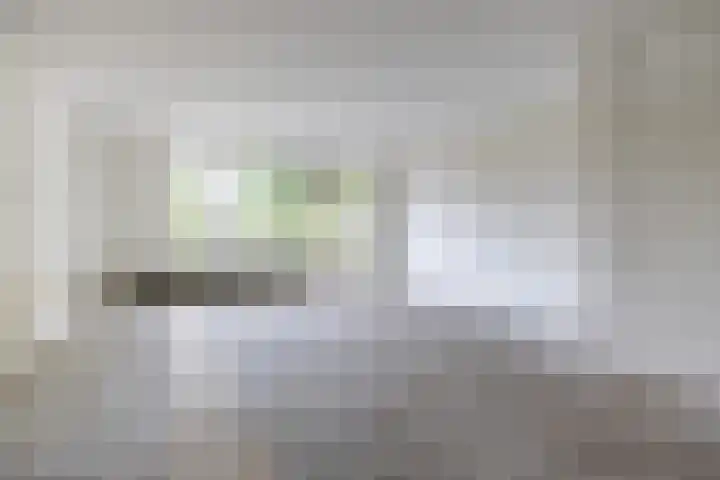 Schieland 29 Assen thumbnail 10