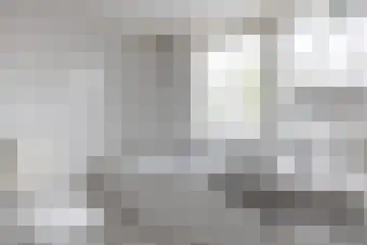 Schieland 29 Assen thumbnail 22