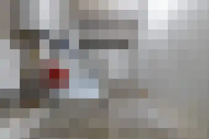 Schieland 29 Assen thumbnail 26