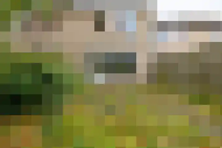 Schieland 29 Assen thumbnail 30
