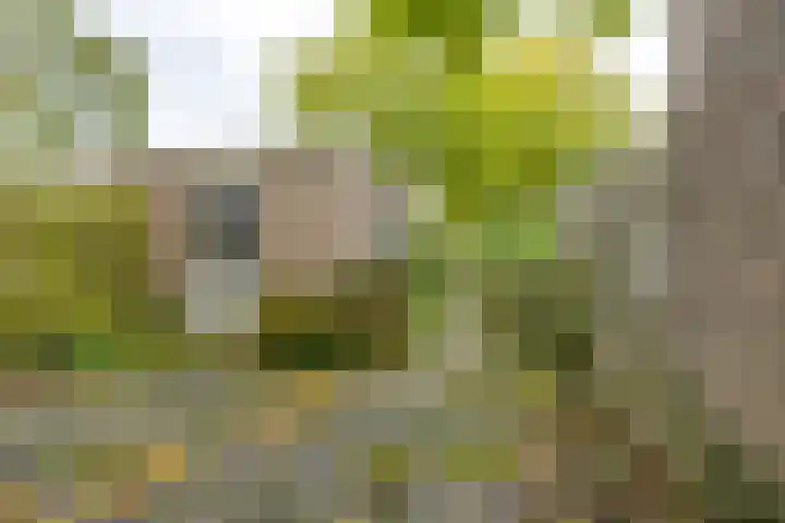 Schieland 29 Assen thumbnail 32