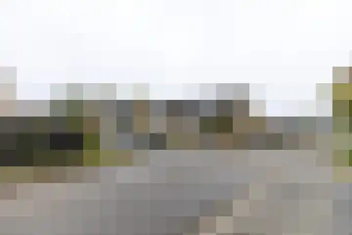 Schieland 29 Assen thumbnail 33