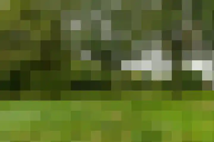 Schieland 29 Assen thumbnail 34