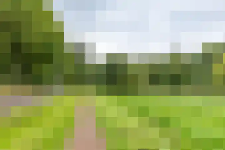 Schieland 29 Assen thumbnail 35