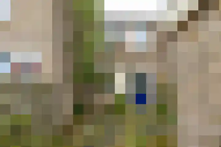 Schieland 29 Assen thumbnail 6