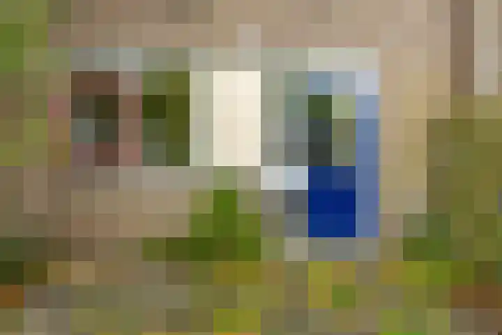 Schieland 29 Assen thumbnail 7