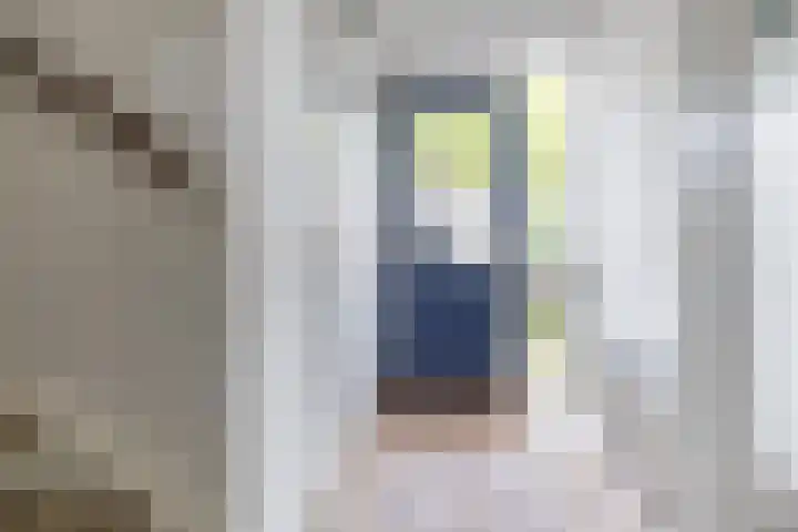 Schieland 29 Assen thumbnail 8