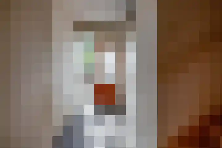 Schieland 31 Assen thumbnail 11