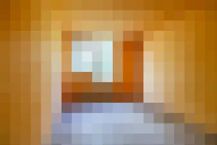 Schieland 31 Assen thumbnail 15
