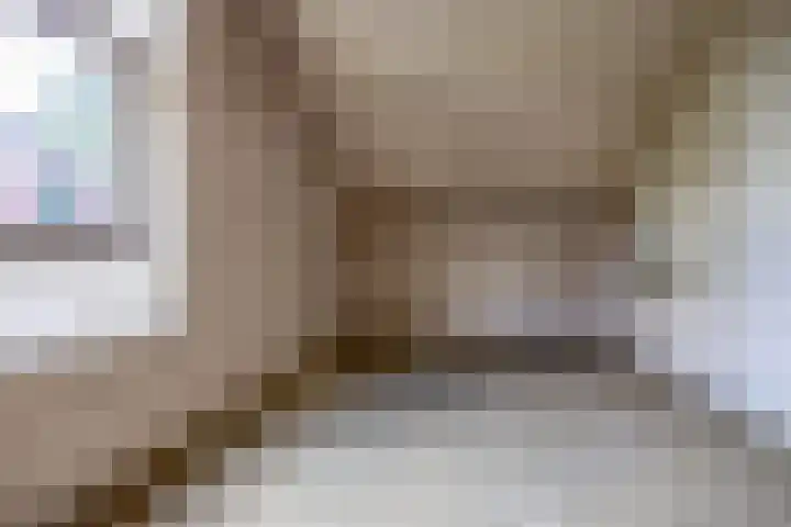 Schieland 31 Assen thumbnail 21