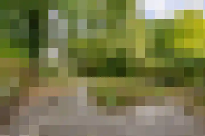 Schieland 31 Assen thumbnail 22