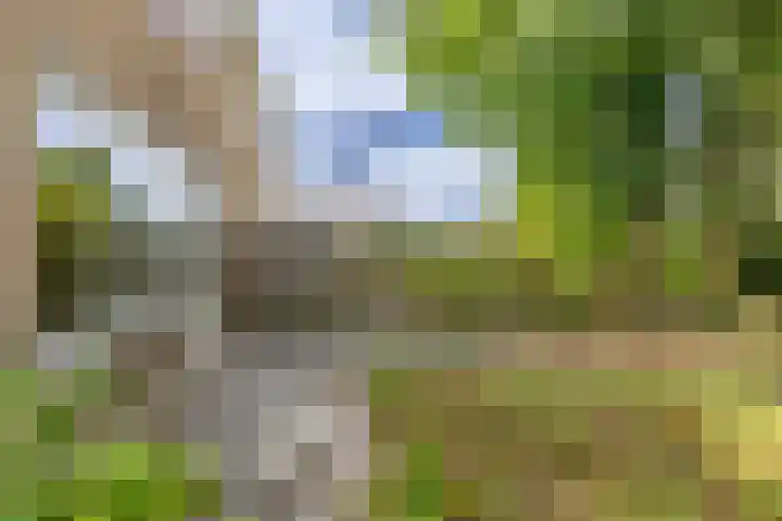 Schieland 31 Assen thumbnail 23