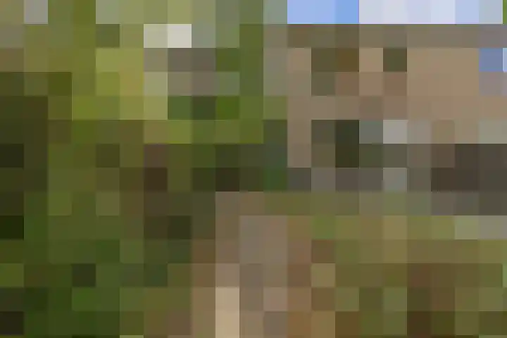 Schieland 31 Assen thumbnail 24