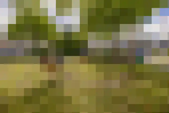 Schieland 31 Assen thumbnail 26