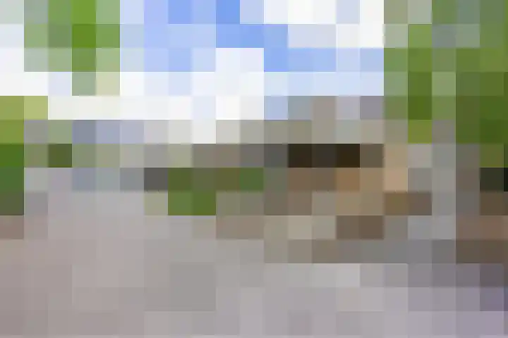 Schieland 31 Assen thumbnail 27