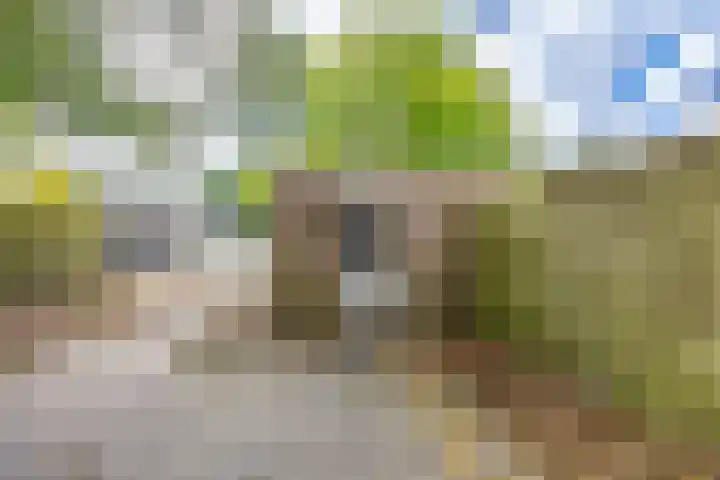 Schieland 31 Assen thumbnail 28