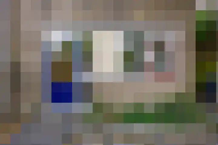 Schieland 31 Assen thumbnail 4