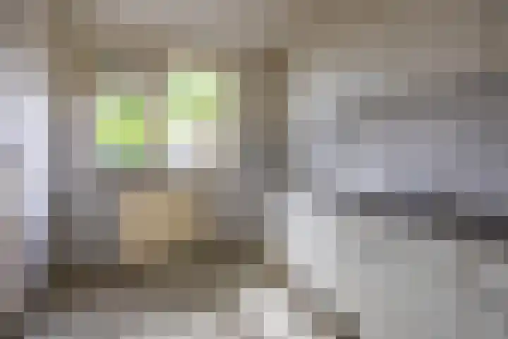 Schieland 31 Assen thumbnail 8