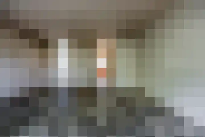 Schieland 31 Assen thumbnail 9