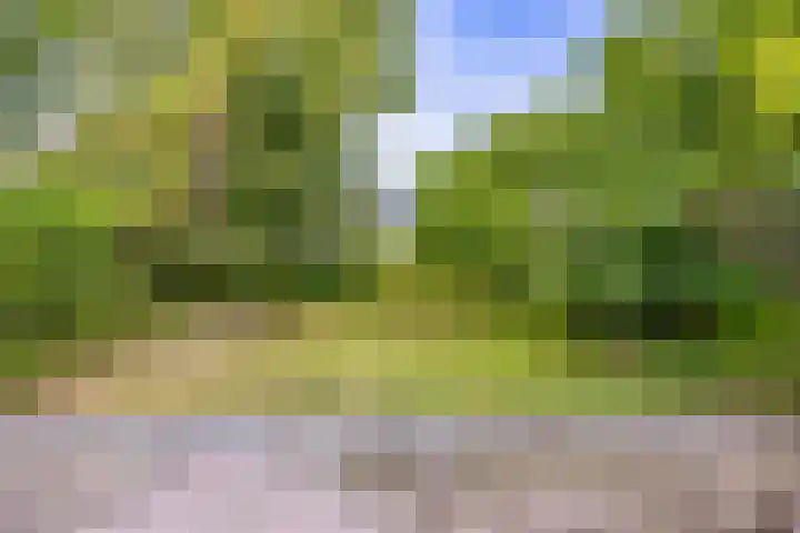 Schieland 33 Assen thumbnail 19