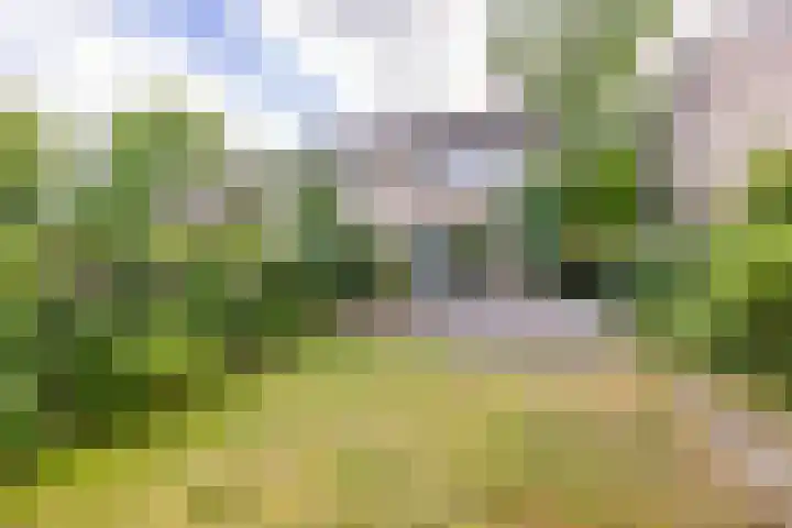 Schieland 33 Assen thumbnail 20