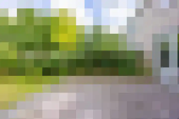 Schieland 33 Assen thumbnail 21