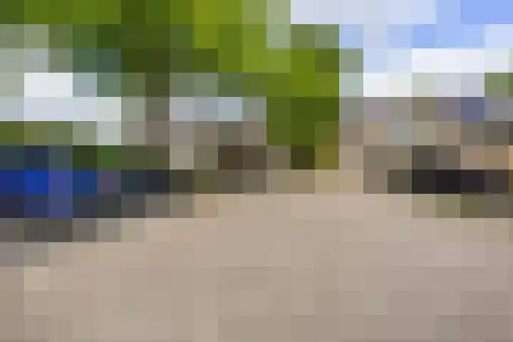 Schieland 33 Assen thumbnail 24