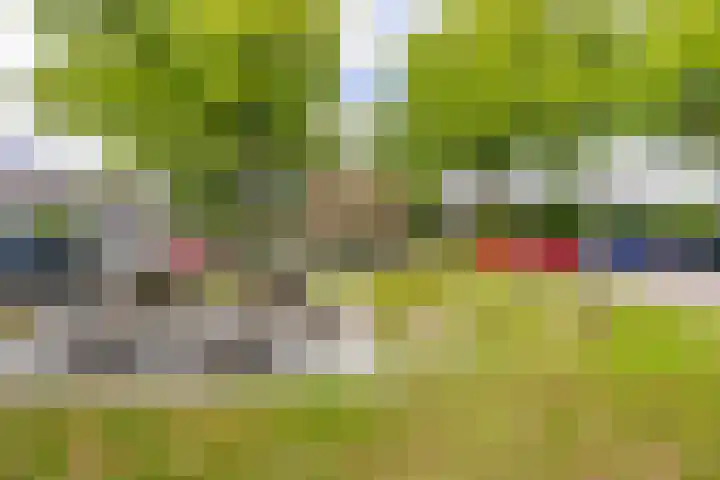 Schieland 33 Assen thumbnail 25