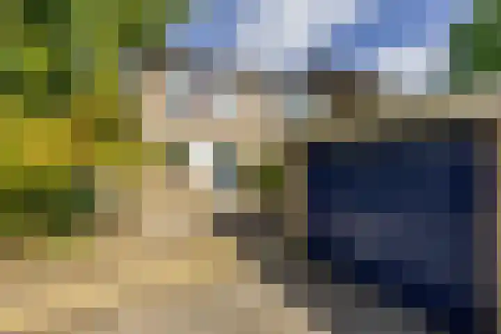 Schieland 33 Assen thumbnail 26