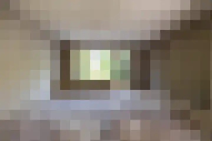 Schieland 33 Assen thumbnail 4
