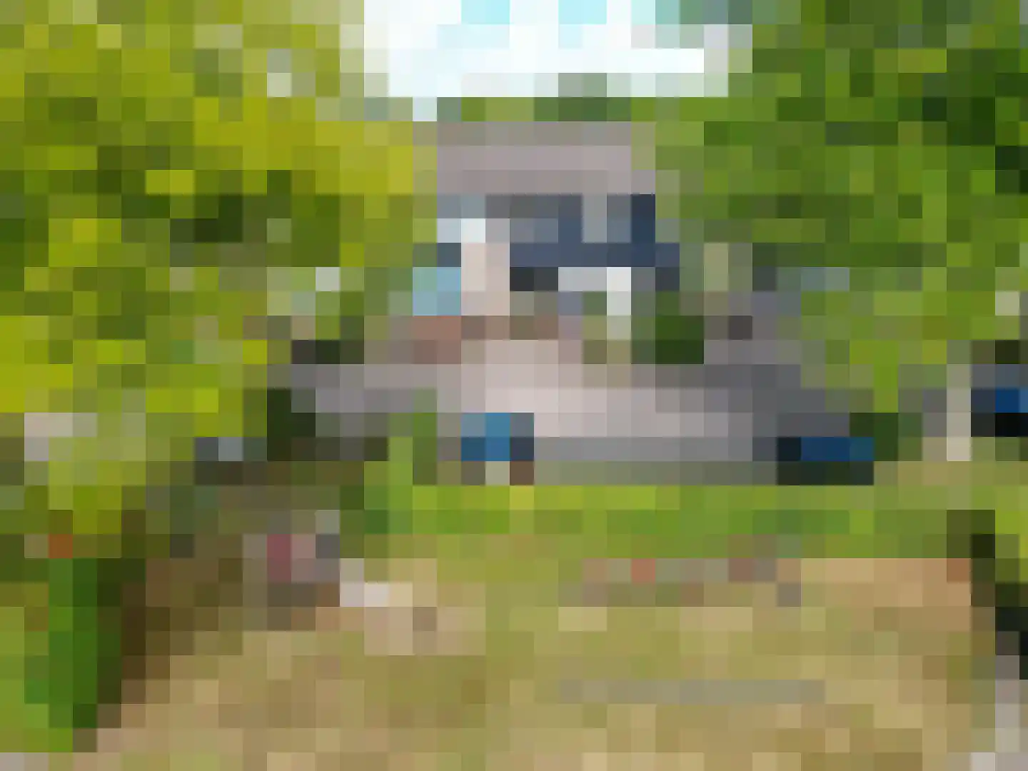 Schieland 54 Assen thumbnail 10