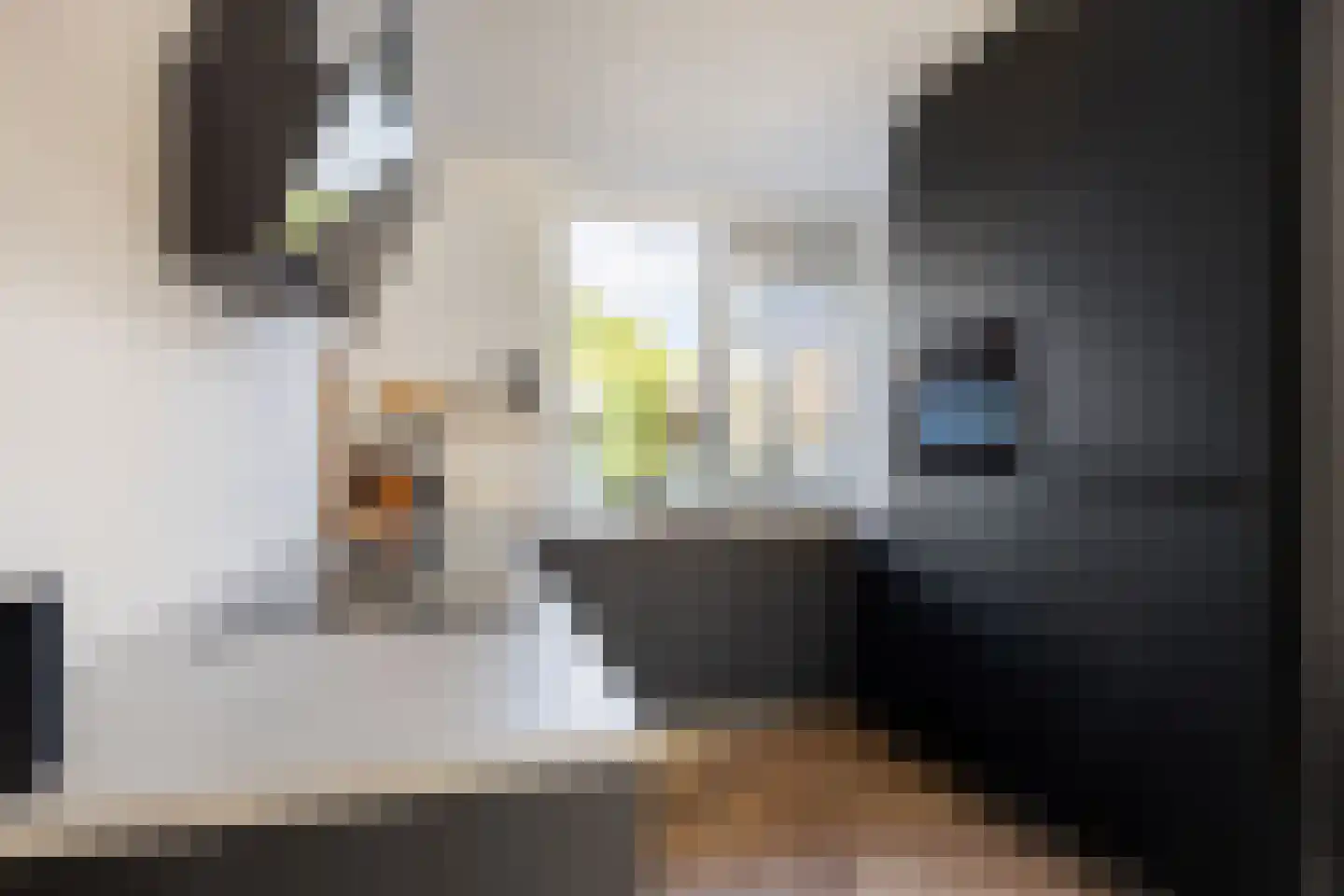 Schieland 54 Assen thumbnail 23