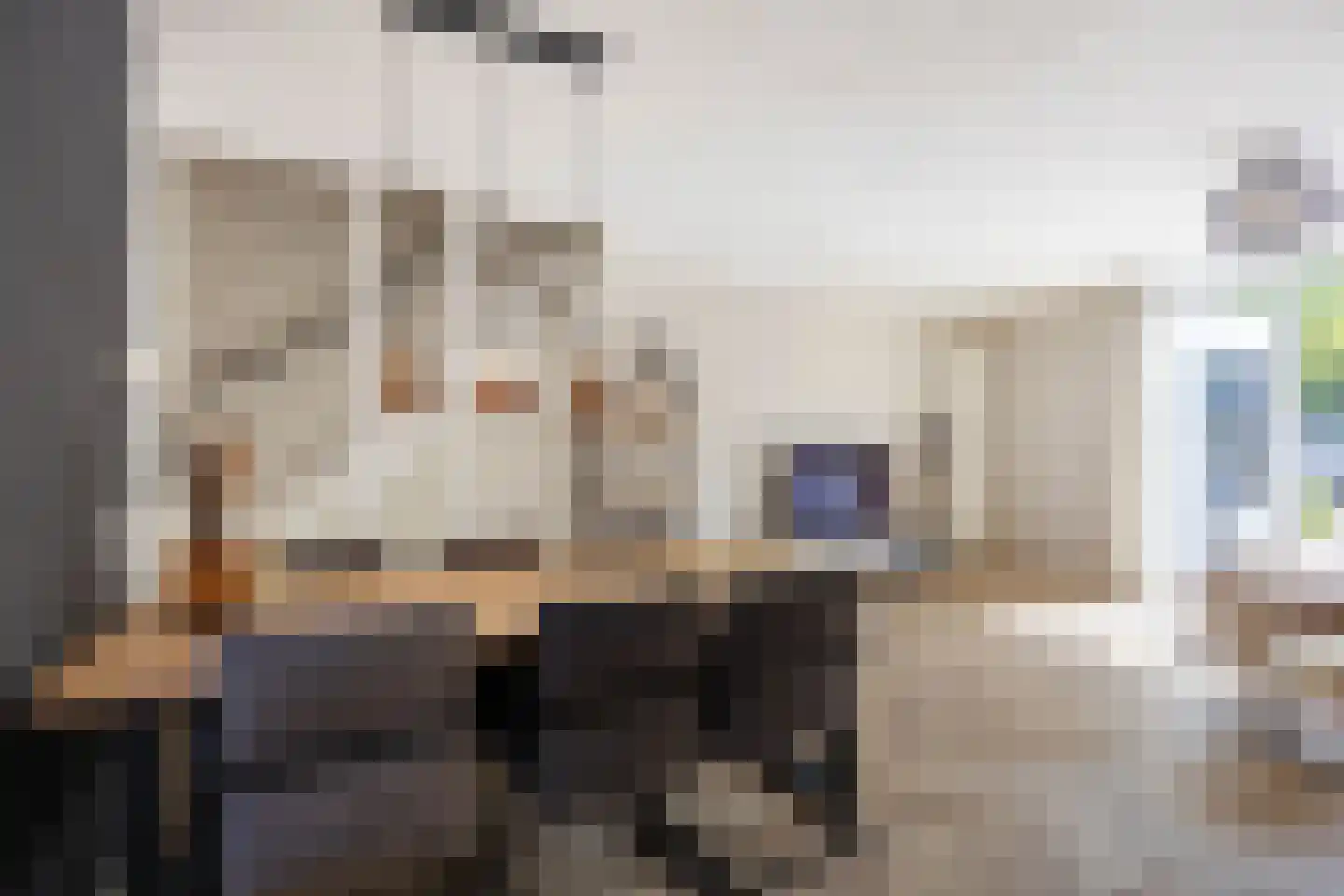 Schieland 54 Assen thumbnail 27