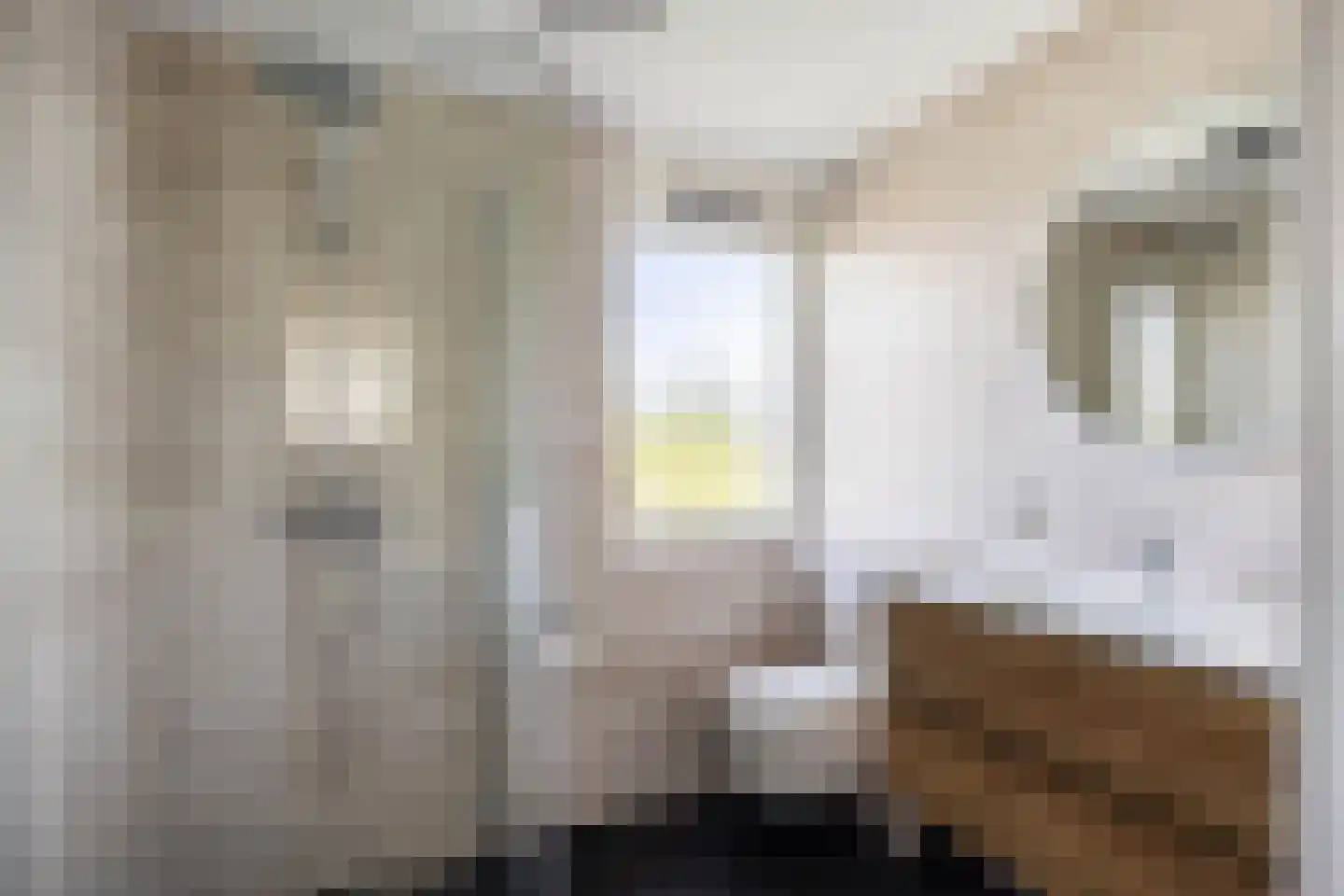 Schieland 54 Assen thumbnail 41