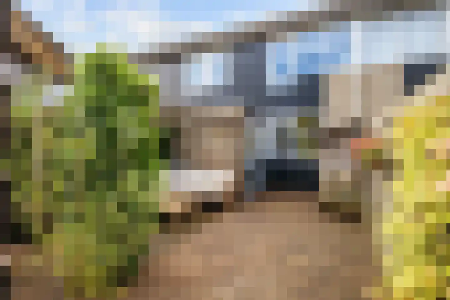Schieland 54 Assen thumbnail 53