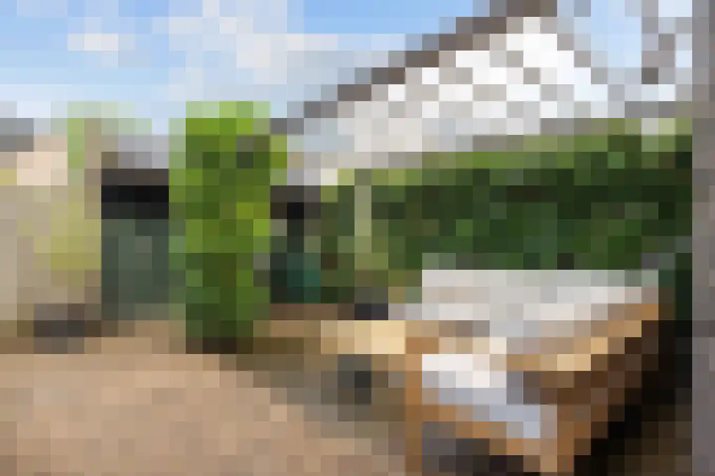 Schieland 54 Assen thumbnail 58