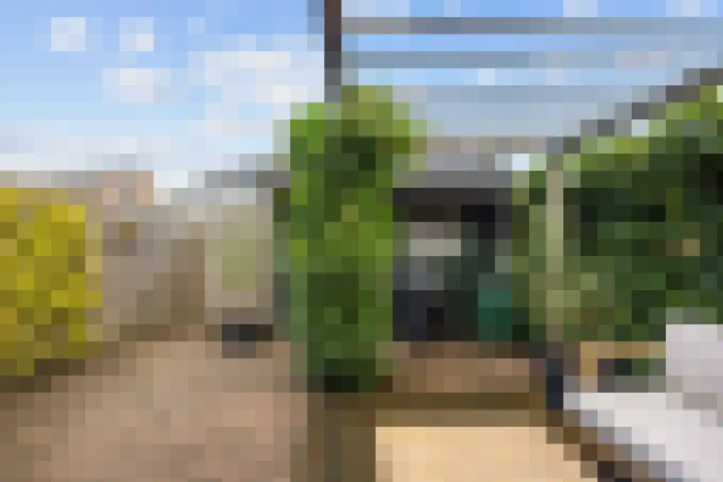 Schieland 54 Assen thumbnail 59