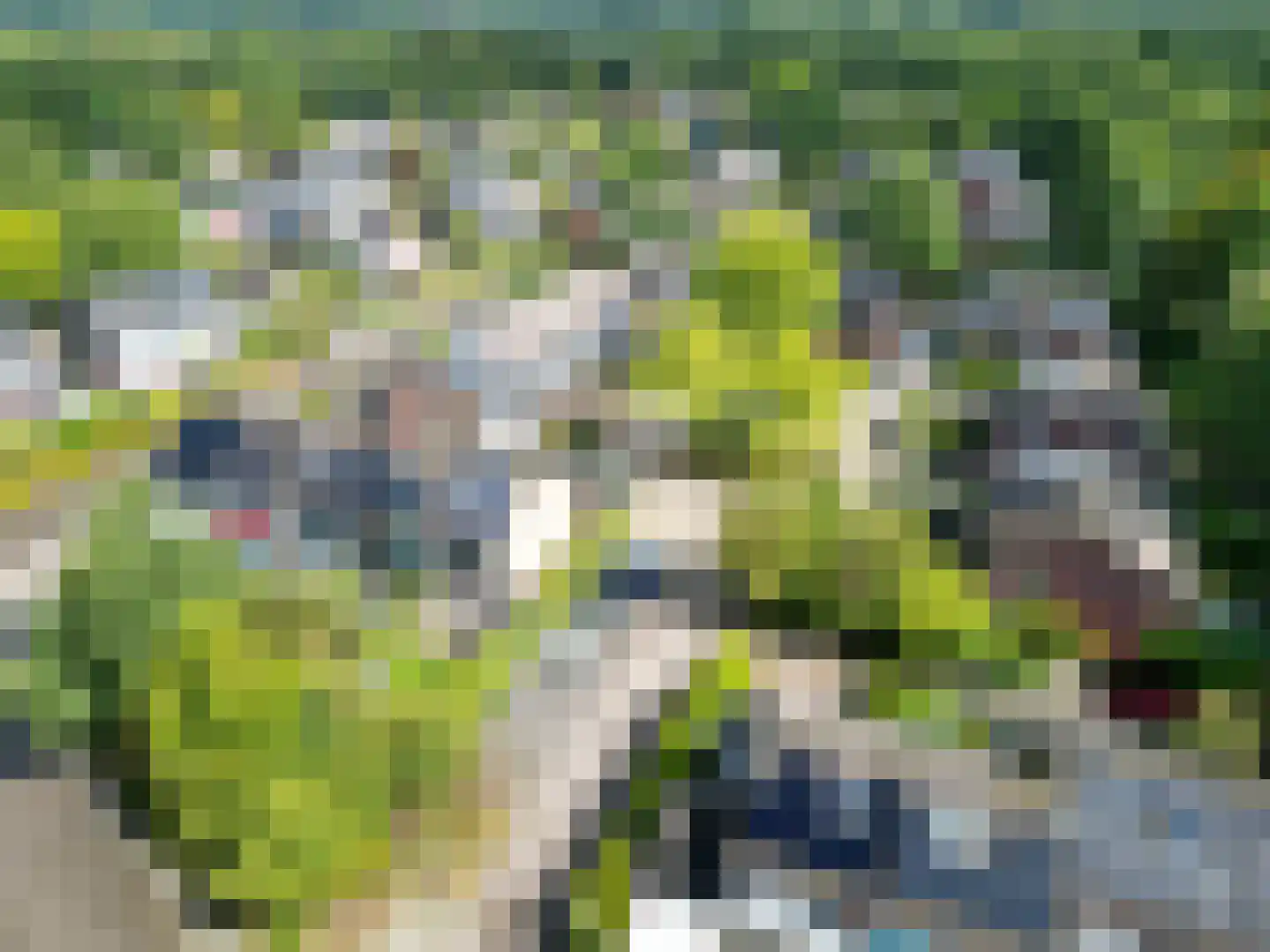 Schieland 54 Assen thumbnail 61
