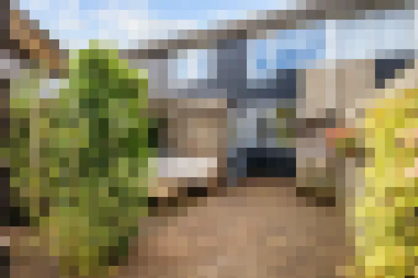 Schieland 54 Assen thumbnail 7