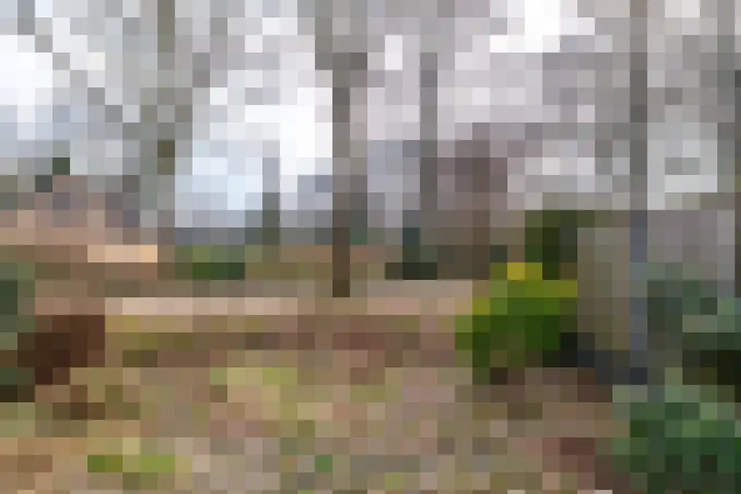 Schieland 55 Assen thumbnail 11