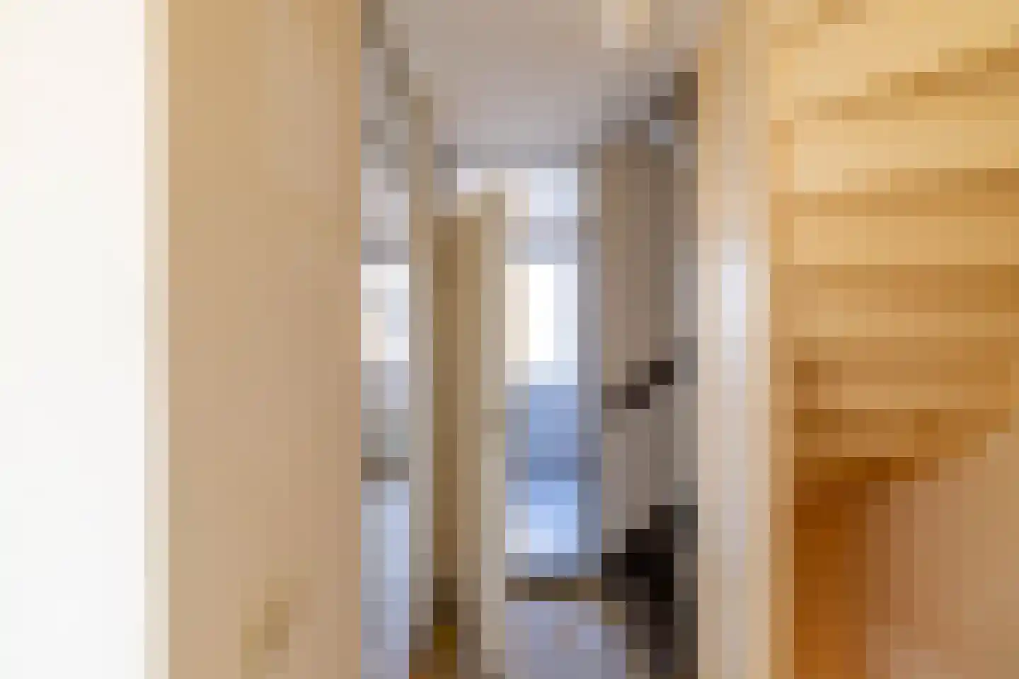 Schieland 55 Assen thumbnail 12