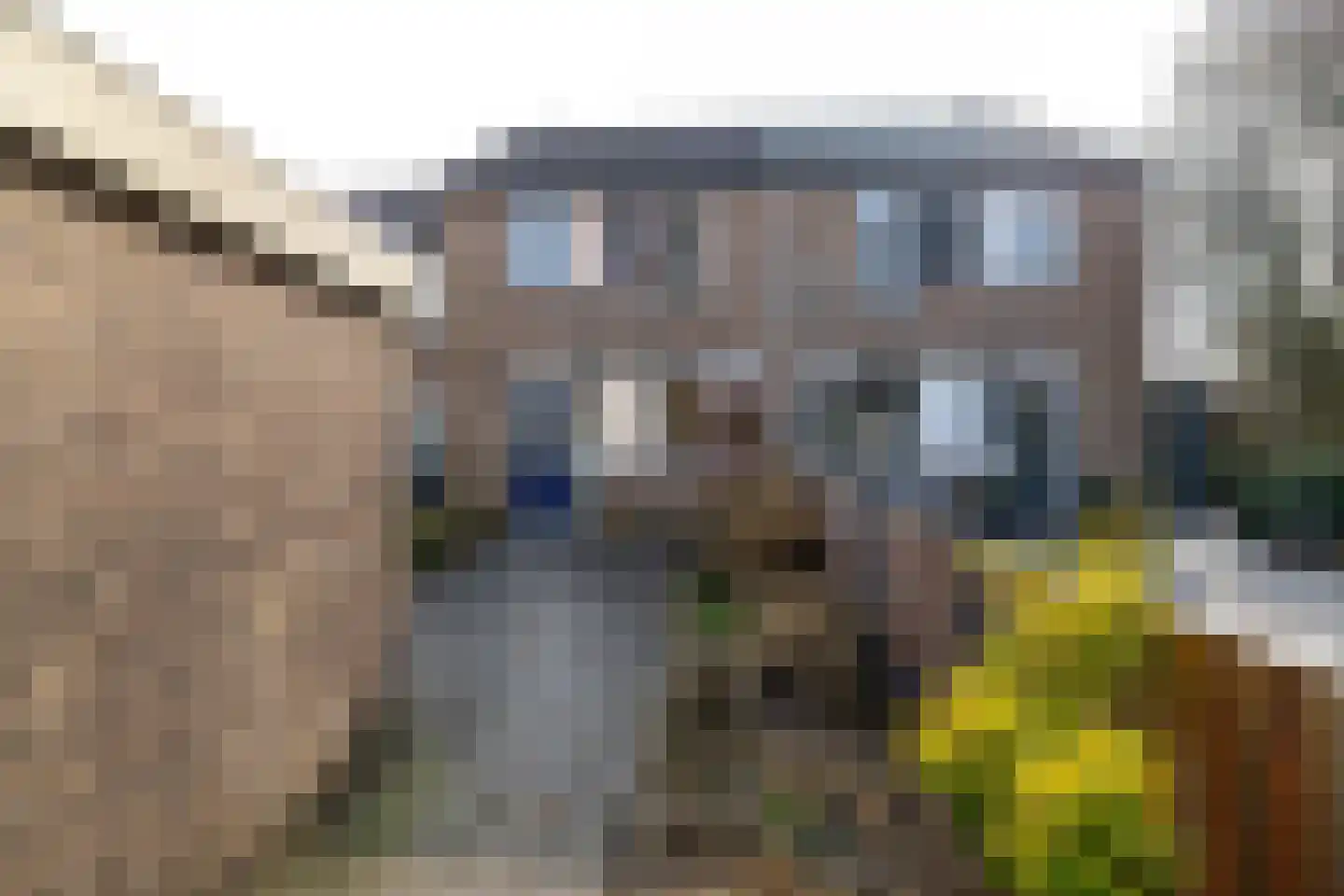 Schieland 55 Assen thumbnail 23