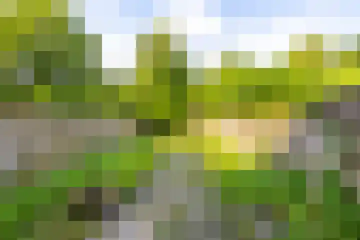 Schieland 61 Assen thumbnail 13