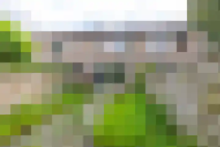 Schieland 61 Assen thumbnail 5